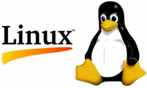 1991 Linux Logo by Flickr/methodshop